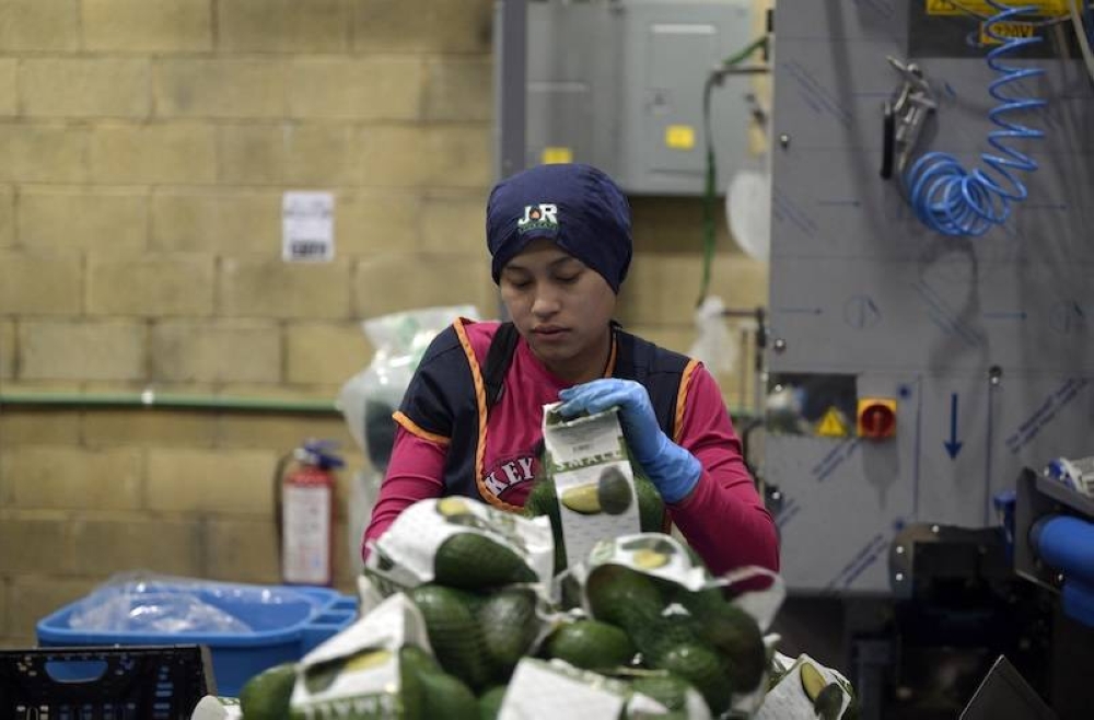 Empleados trabajan en la fábrica de SMK Electronics en Tijuana, estado de Baja California, México, el 20 de febrero de 2025./Guillermo Arias / AFP