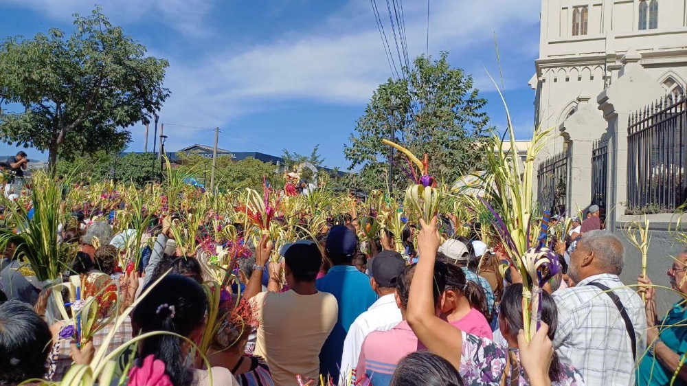 Cientos de fieles católicos llevaron sus palmas en el Domingo de Ramos. /Jessica Guzmán. 