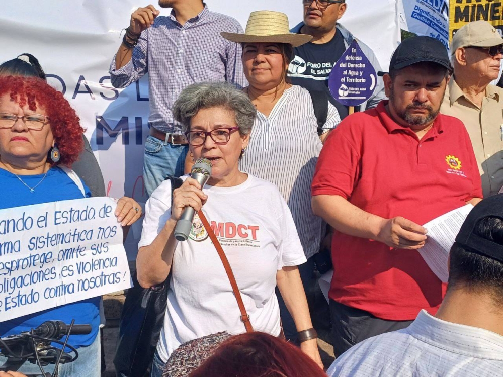 La docente y sindicalista Idalia Zúniga protestó contra despidos y encarcelamiento de sindicalistas. / F.V.