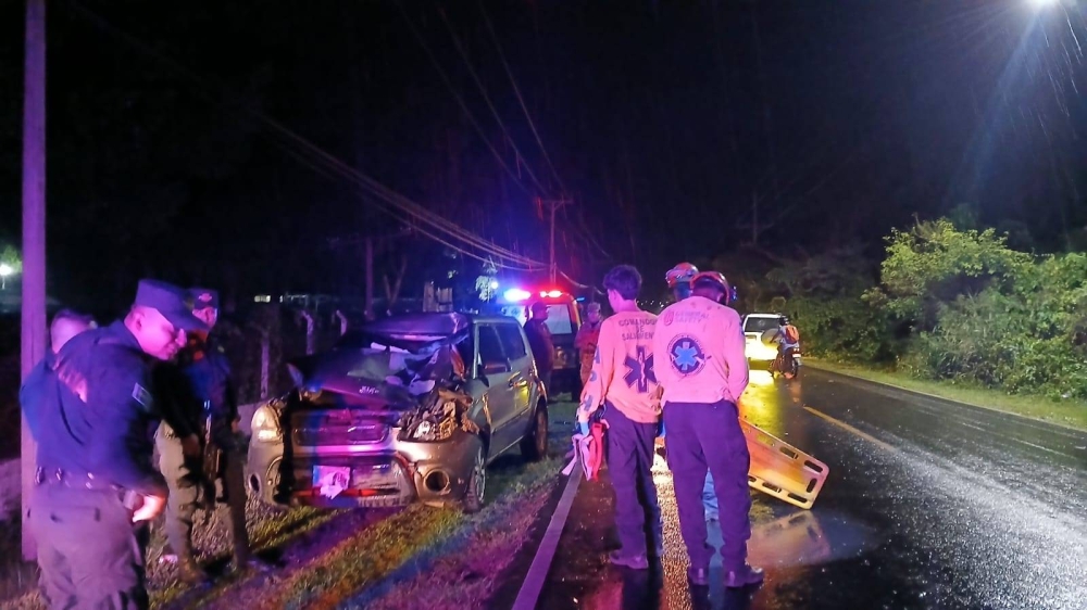 El caballo involucrado en el accidente en San Juan Opico/ Foto cortesía Comandos de Salvamento.