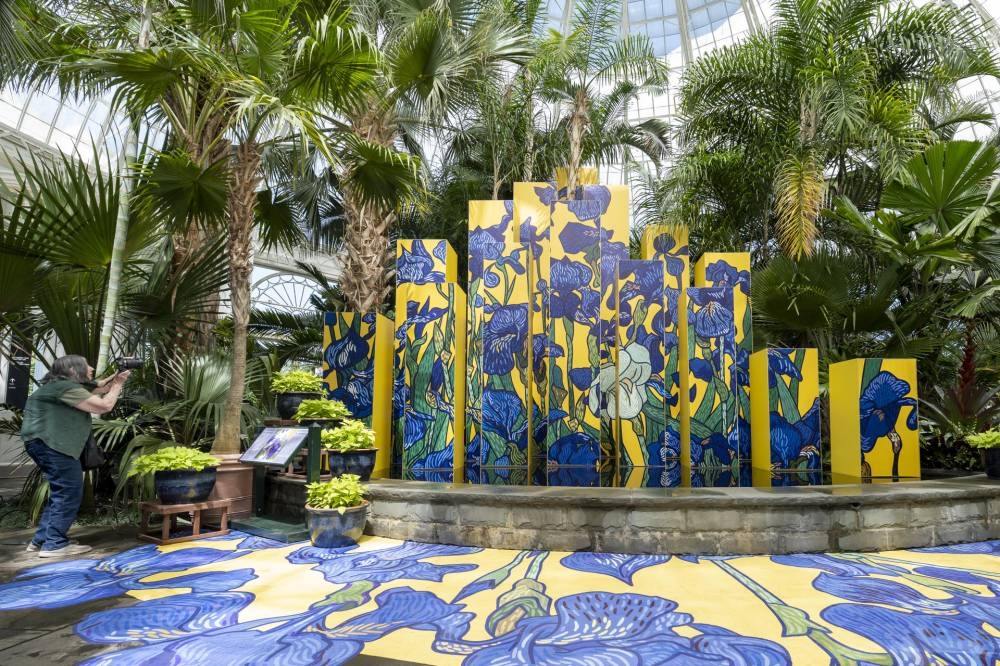 Lirios, rosas y girasoles son algunas de las flores que Van Gogh tomó como inspiración para sus cuadroio. EFE/ Angel Colmenares