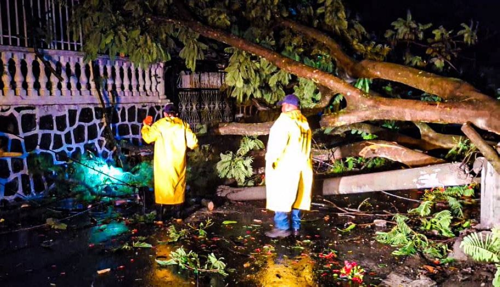 En Apopa, un árbol provocó afectaciones en el tendido eléctrico y la calle principal permanecerá cerrada. /Alcaldía Municipal de San Salvador Oeste
