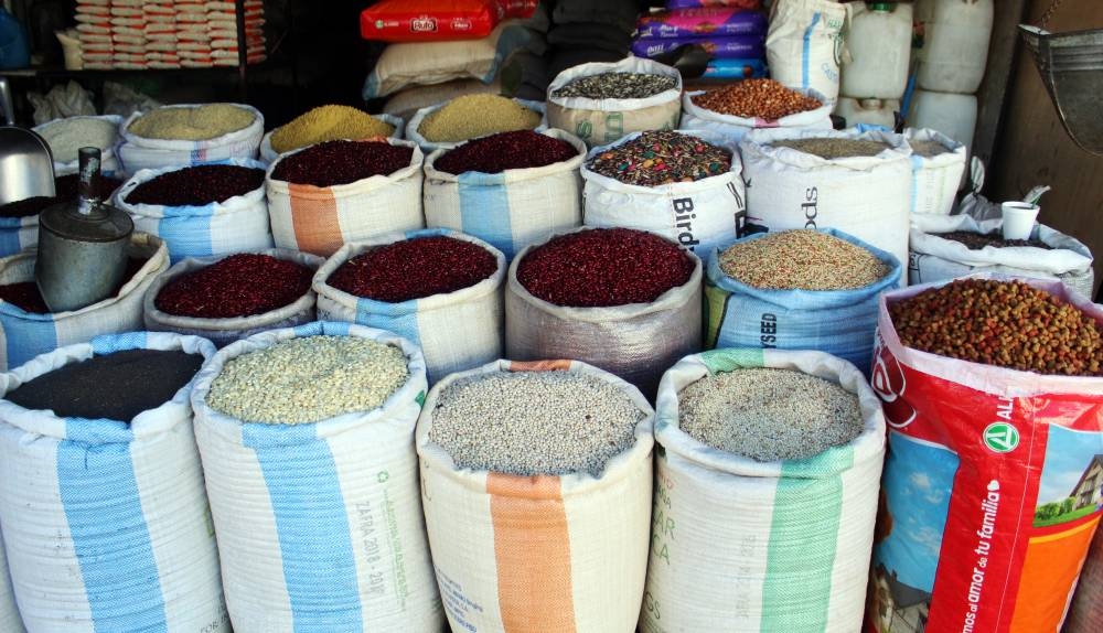 El MAG tiene medio año sin actualizar precios de los alimentos