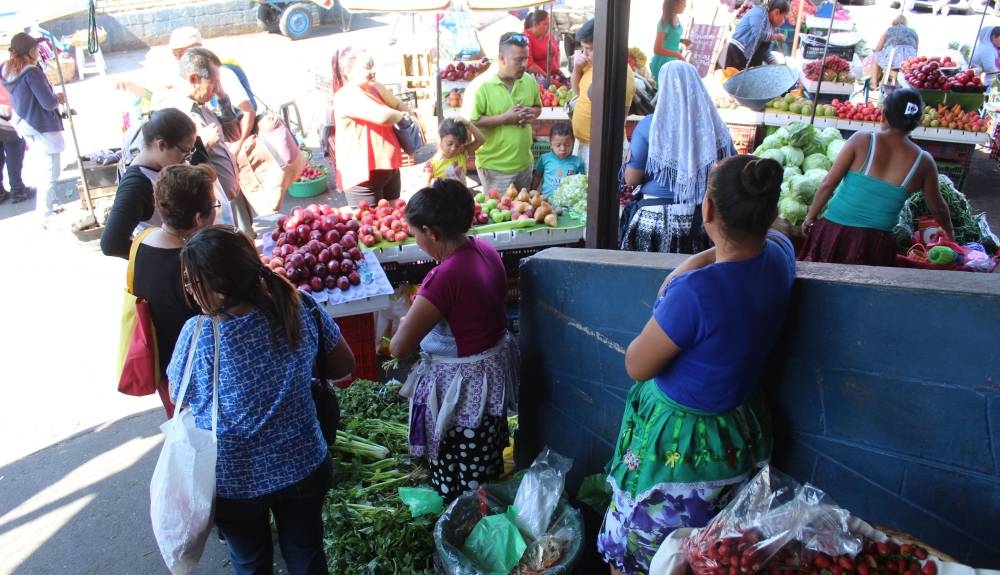 El cilantro, el ajo y el maíz dulce fueron los que más incrementaron su precio en 2024