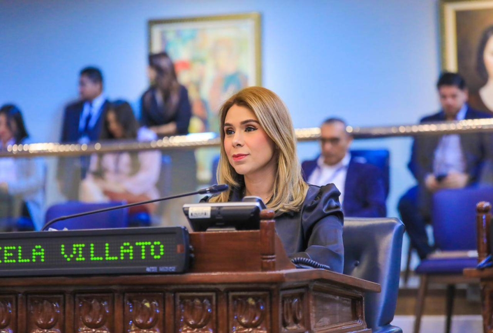 Marcela Villatoro dice que actual Coena no ha rendido cuentas «ni de un dólar»