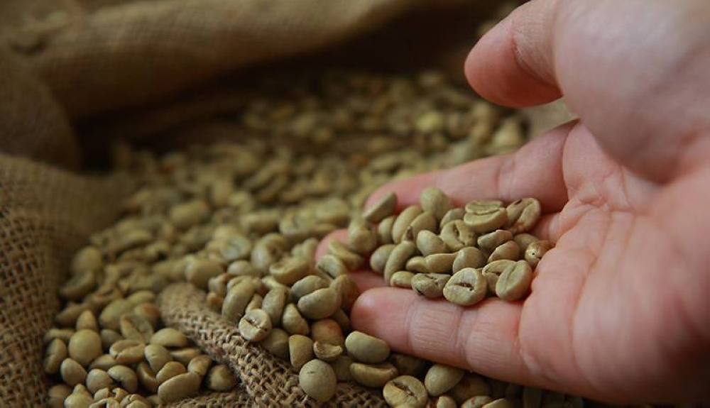 El café sigue batiendo récords al acercarse a los $340