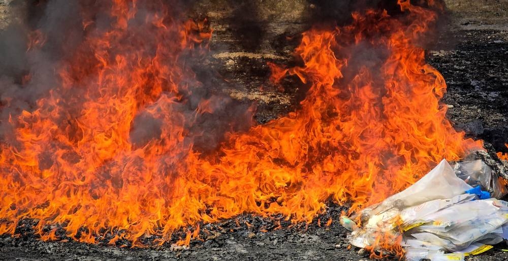 Autoridades destruyen más de $97,000 en marihuana y cocaína