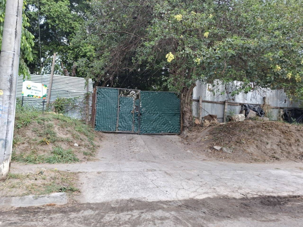 Fiscalía abre una investigación por denuncias de maltrato en refugio de animales de Ilopango