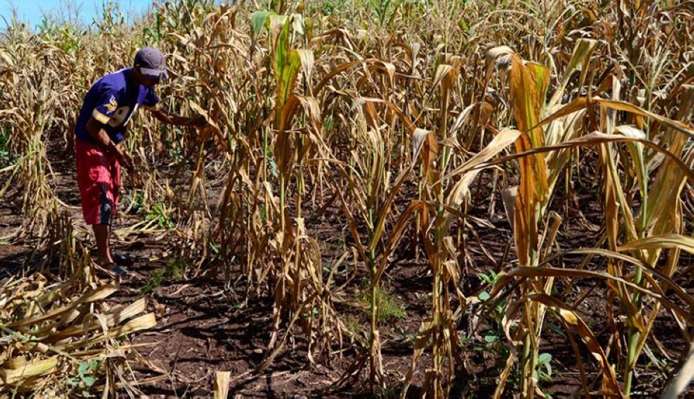 Fondo Ambiental llama al sector agrícola a prepararse ante pronósticos de reducción de lluvias