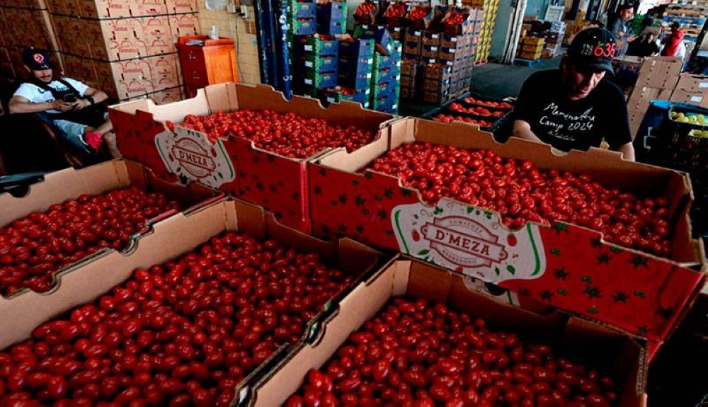 Trump frena aranceles para algunos productos de México y Canadá