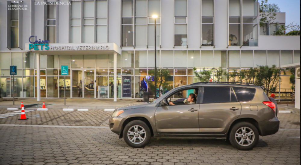 Chivo Pets reabrió este lunes y su director dice que fortalecerán áreas