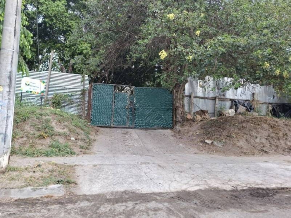 Concejal del FMLN: «Hay miedo de que encontremos fosas» de animales en San Salvador Este