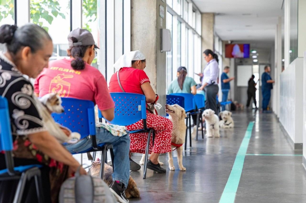 Cada atención en Chivo Pets seguirá costando $0.25, solo si paga con la Chivo Wallet