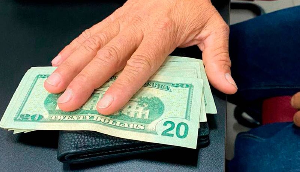 Hombre que dio tortillas envenenadas a dos perros deberá pagar $300 a dueña