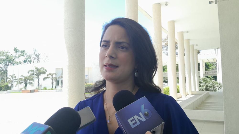 Claudia Ortiz: «¿Cuándo va a tomar la medicina amarga el gobierno y las AFP?»