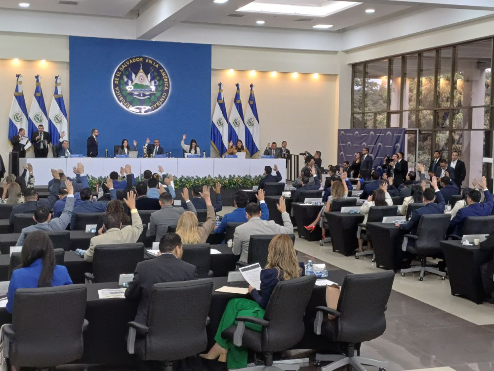 Asamblea publica gasto en viajes durante 2024, jefe de Nuevas Ideas dice no fue a ninguno