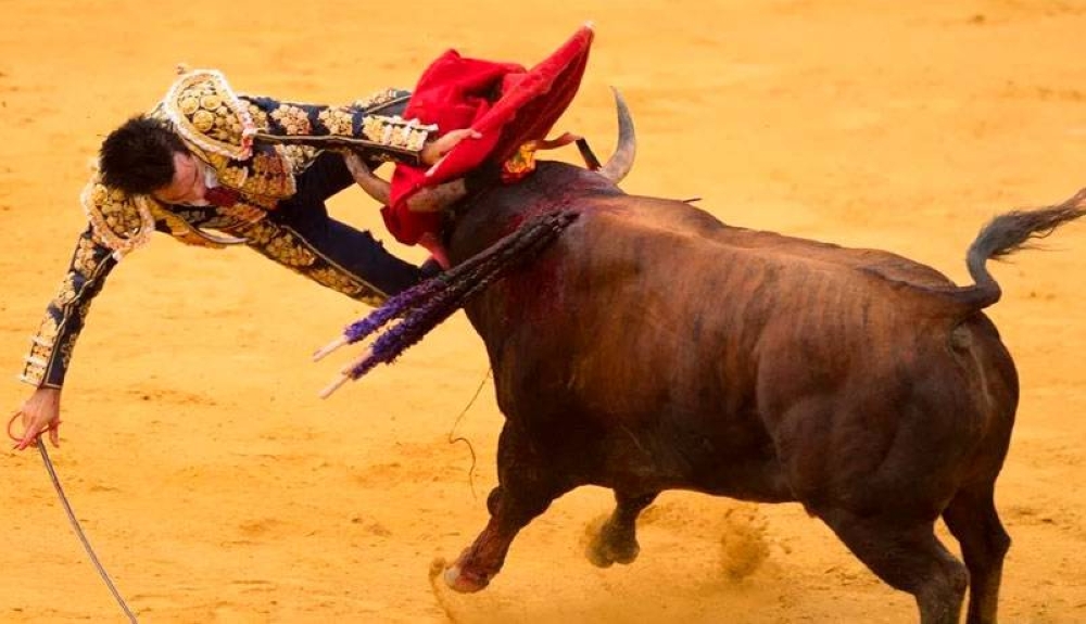 Ciudad de México plantea prohibir corridas con muerte o maltrato de toros