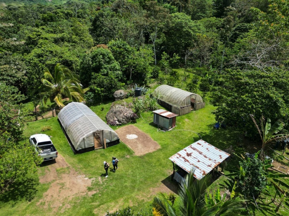 Entre montañas verdes, campesinos cuidan el agua del canal de Panamá
