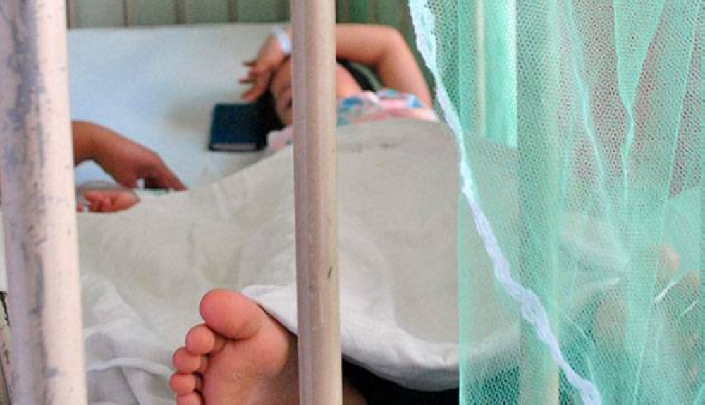 Presidente del Colegio Médico sobre el dengue: «Va a ser el principal dolor de cabeza en nuestro país para el 2025»