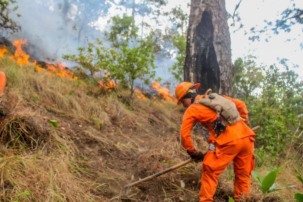 Más de 200 hectáreas fueron consumidas por incendio en San Francisco Morazán, Chalatenango