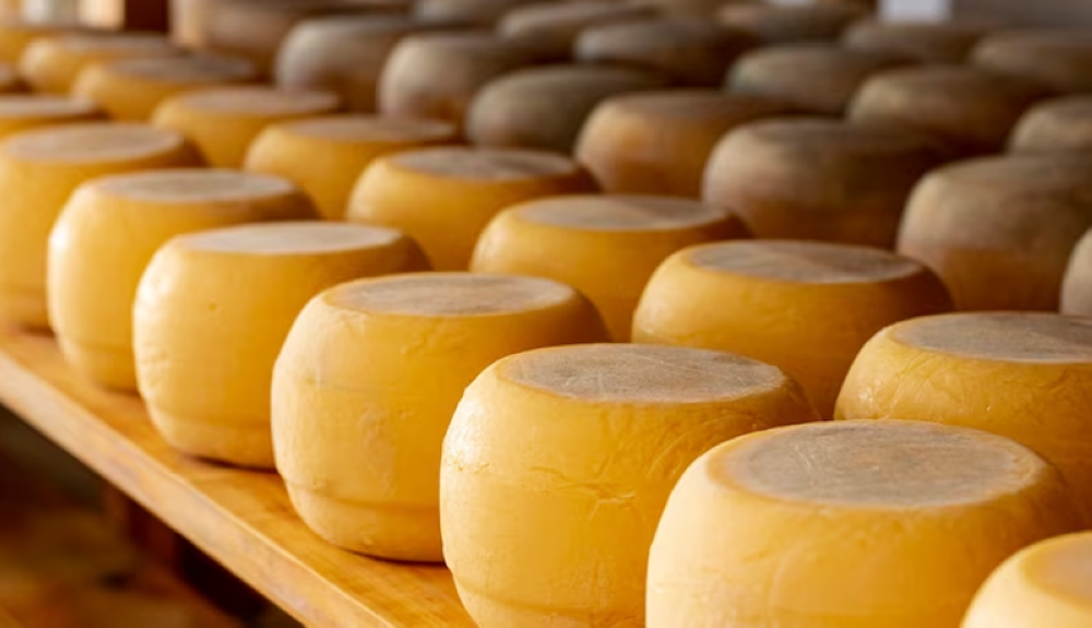 El Reino Unido prohíbe temporalmente traer carne o queso de la UE por la fiebre aftosa