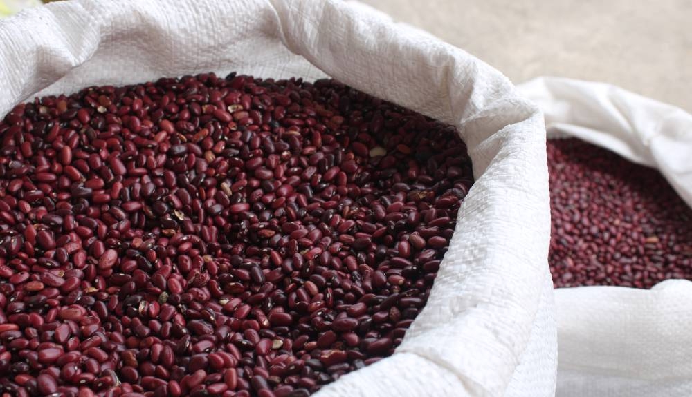 Campo advierte que en junio El Salvador se quedará sin producción nacional
