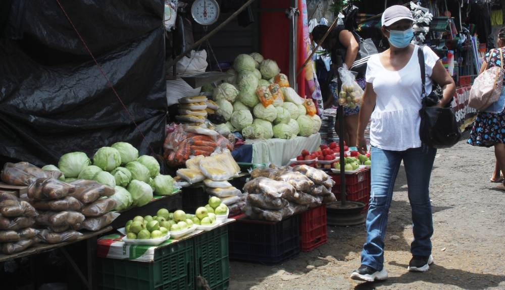Productores estiman que el déficit de hortalizas y verduras subió a un 93 % en los últimos años