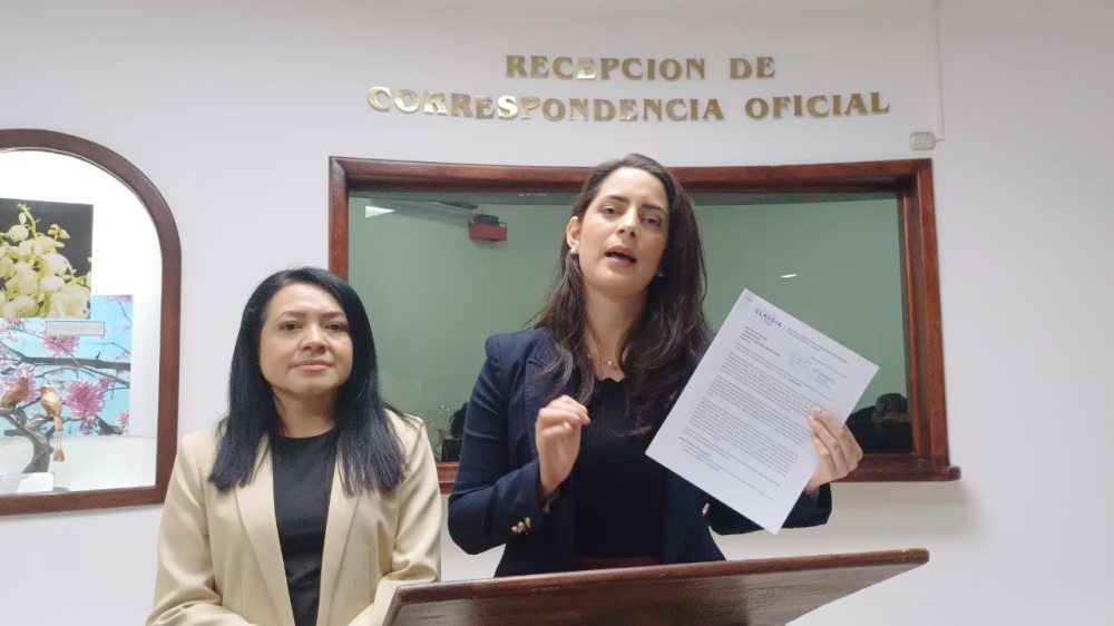 Claudia Ortiz pide interpelar al ministro de Obras Públicas por Los Chorros