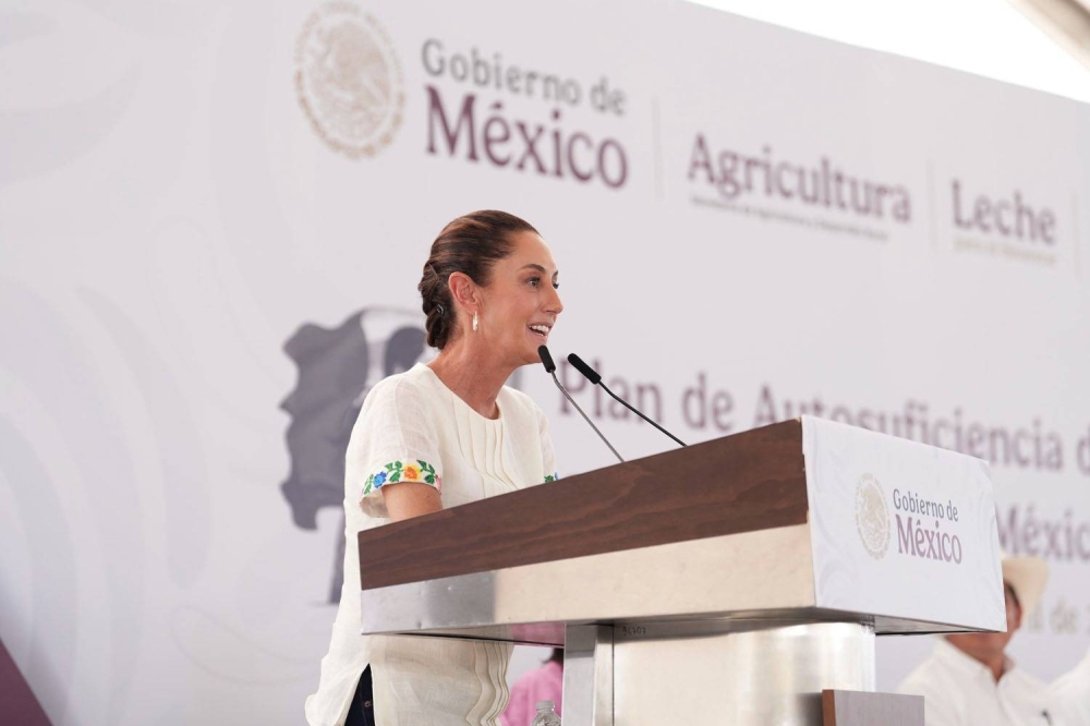 El Senado mexicano aprueba la Estrategia de Seguridad Pública propuesta por Sheinbaum