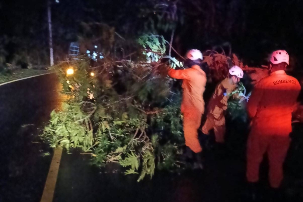 Lluvias dejan árboles caídos en diferentes puntos del país este viernes