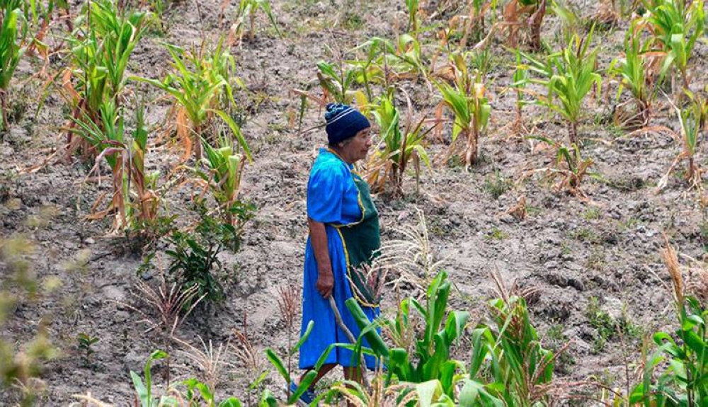 Informe alerta sobre impactos del cambio climático en El Salvador: aridez y presión hídrica