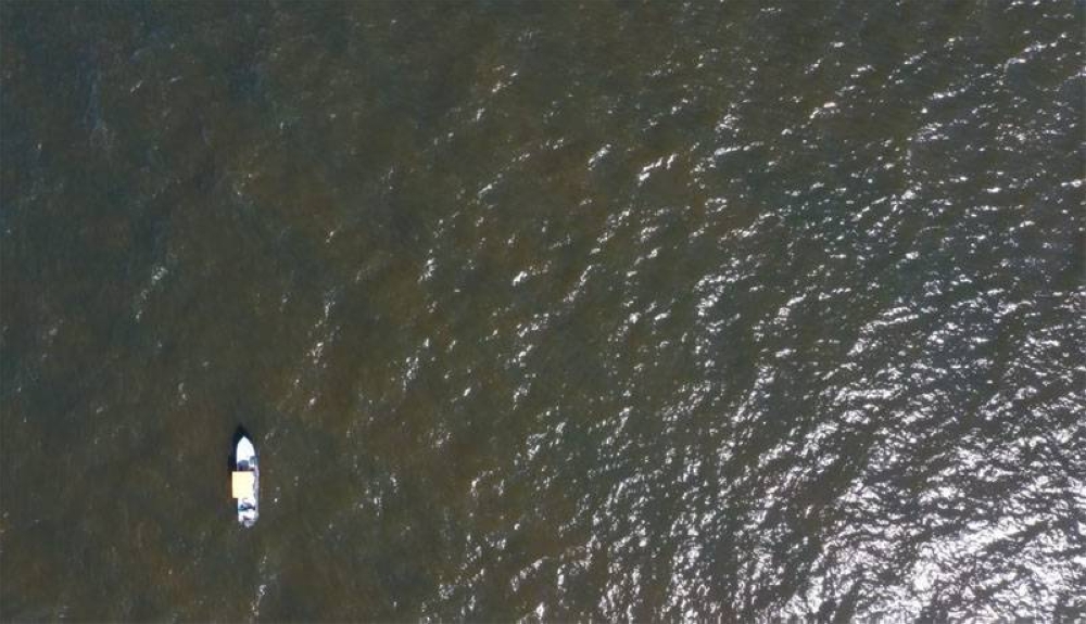 Advierten riesgo de marea roja y corrientes peligrosas esta semana