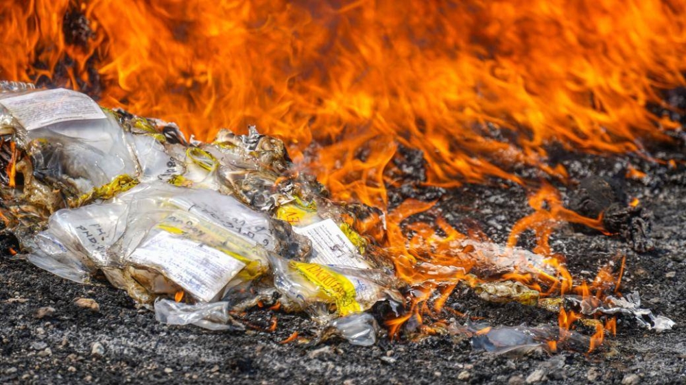 Destruyen droga valorada en más de $48,000