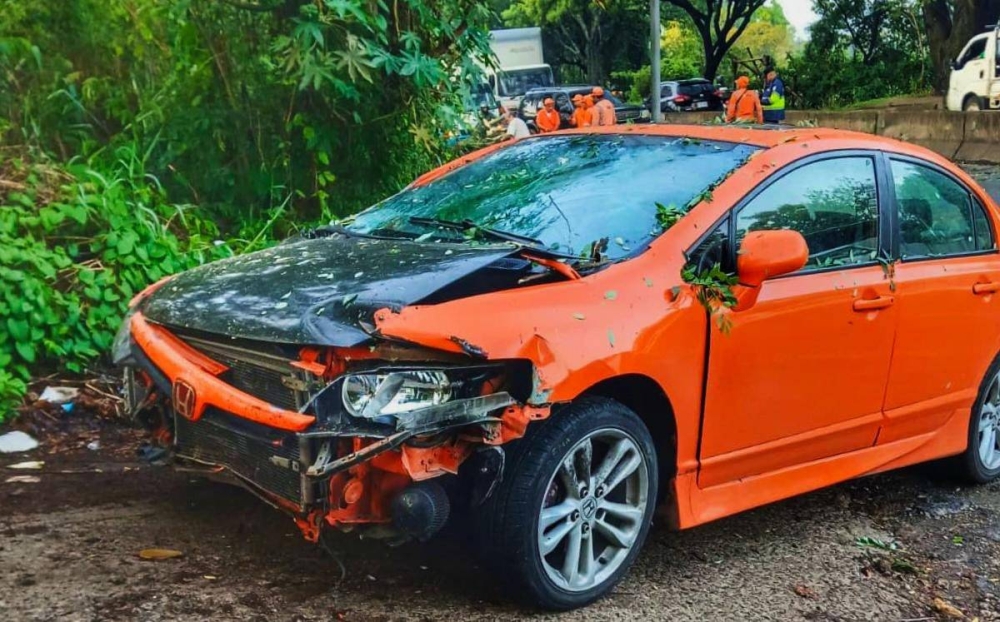 Un árbol cayó sobre un vehículo en Santa Ana