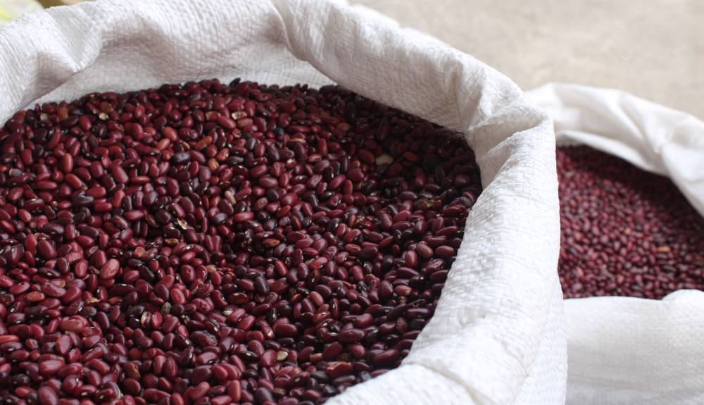 El Salvador es el único en la región donde el precio de los alimentos baja respecto a hace un año, según informe