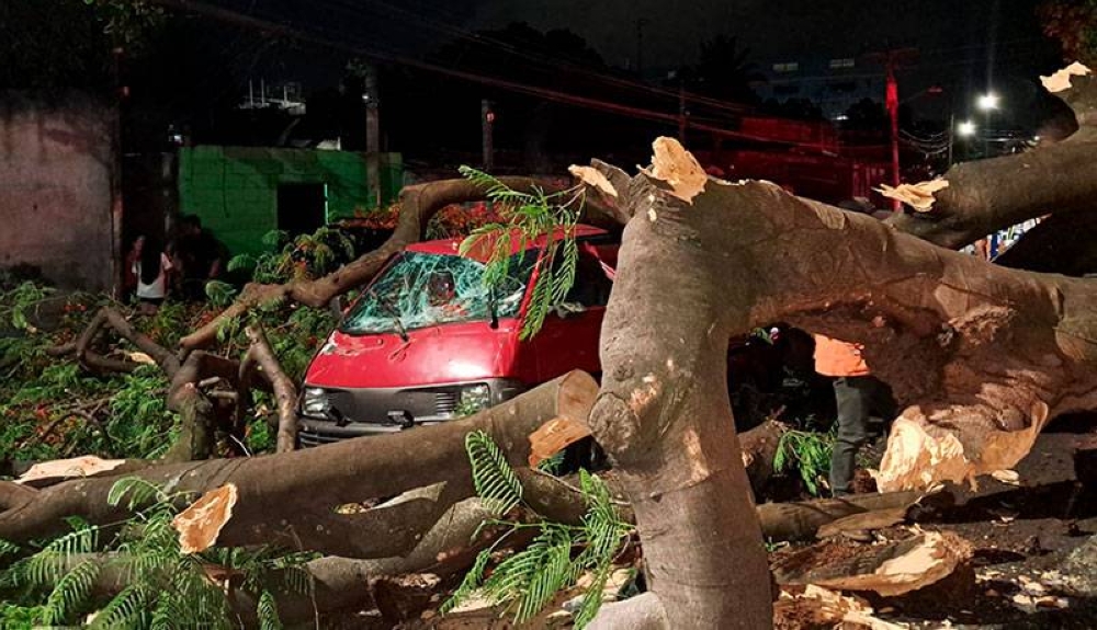 Árbol cae sobre vehículos en calle Agua Caliente y deja dos lesionados
