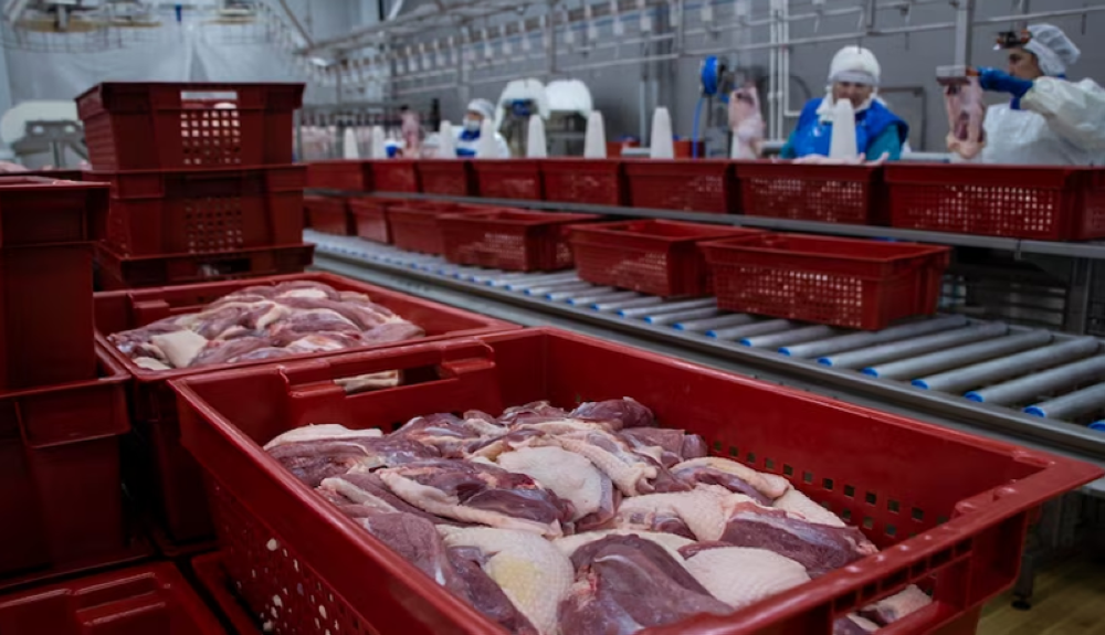 Exportaciones de la industria de alimentos y bebidas crecieron un 10 %