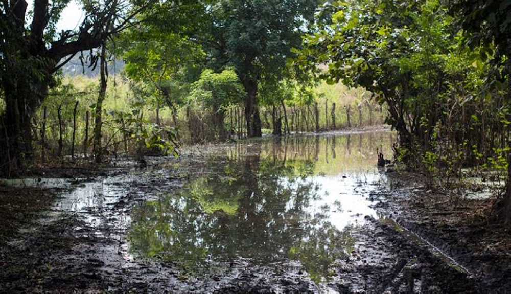 Advierten de riesgo por inundaciones en zona costera y cadena volcánica