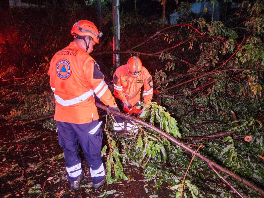 Árboles caídos y calles anegadas dejan últimas lluvias en varios puntos del país