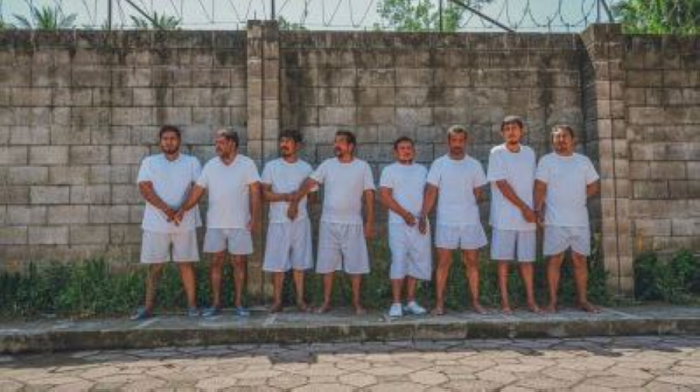 A juicio ocho extranjeros por tráfico de droga valorada en $38 millones y procesan a mujeres por tráfico de metanfetamina y marihuana