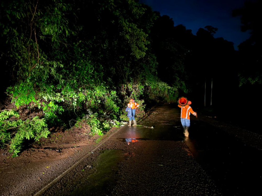 Derrumbe, árboles caídos e inundaciones por lluvias