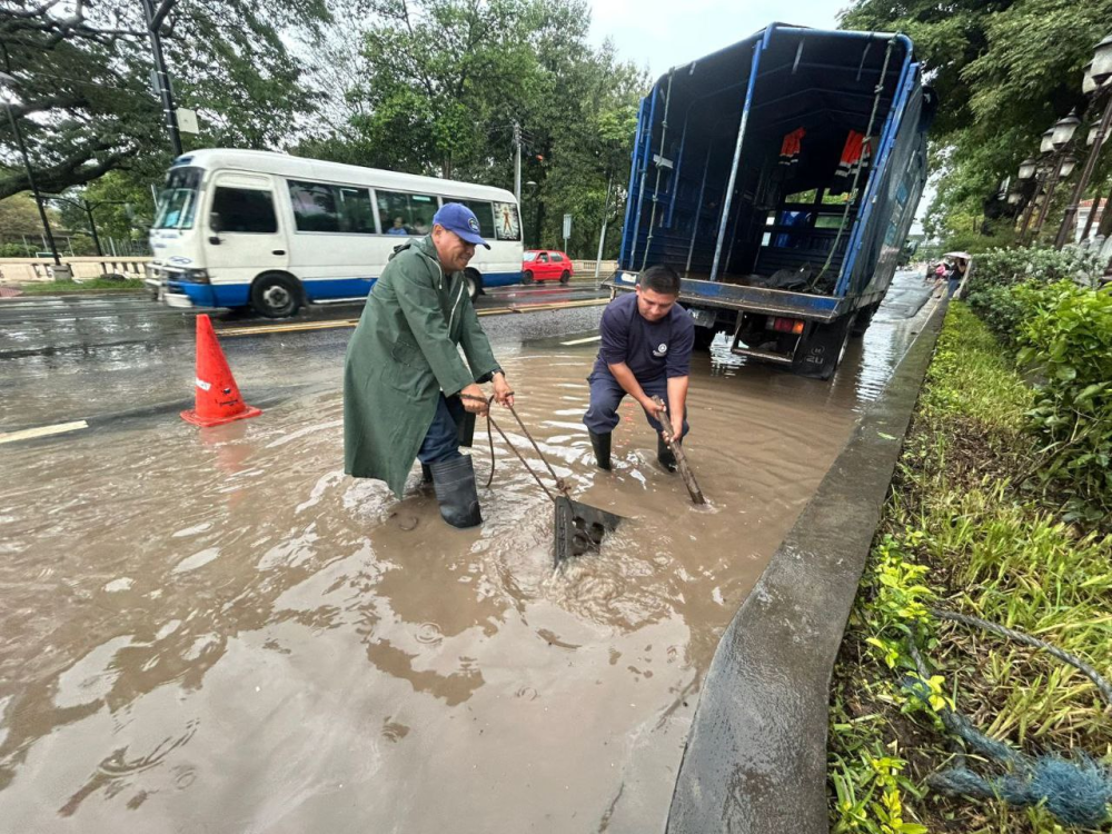 Calles inundadas y árboles caídos por incremento de lluvias este domingo