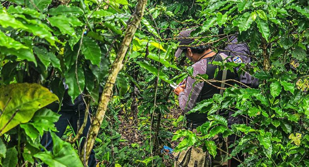 Exhuman 11 cuerpos enterrados en cementerio clandestino en Las Delicias