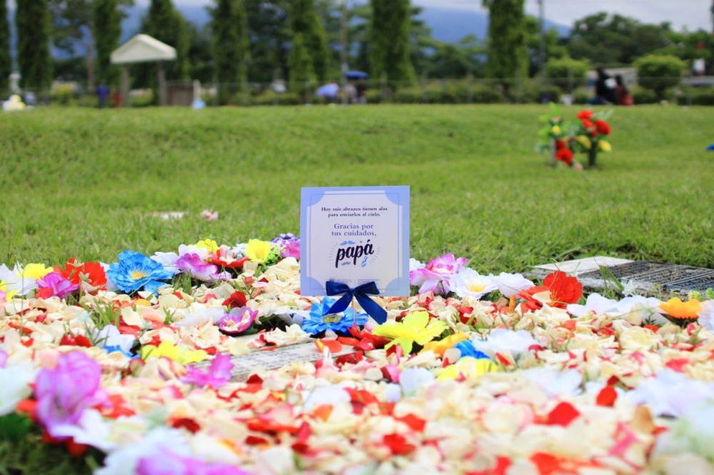 Una flor y un abrazo a papá en el cielo