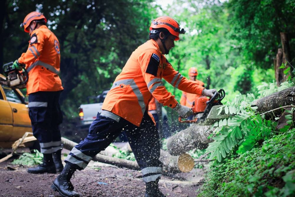 Más árboles caídos y derrumbes por intensas lluvias en las últimas 48 horas