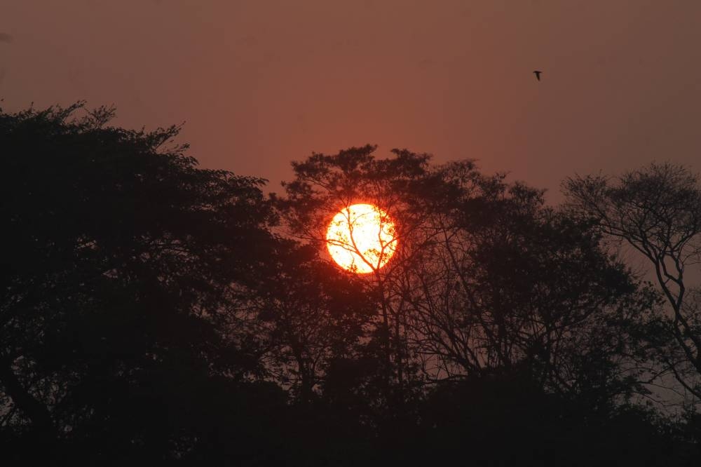 Este viernes es el día más largo del año 2025, ¿qué ocurre?
