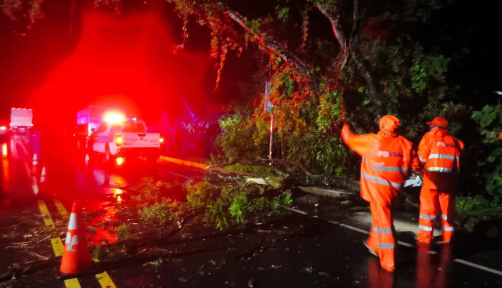 Lluvias dejan dos árboles caídos y un derrumbe en las últimas horas