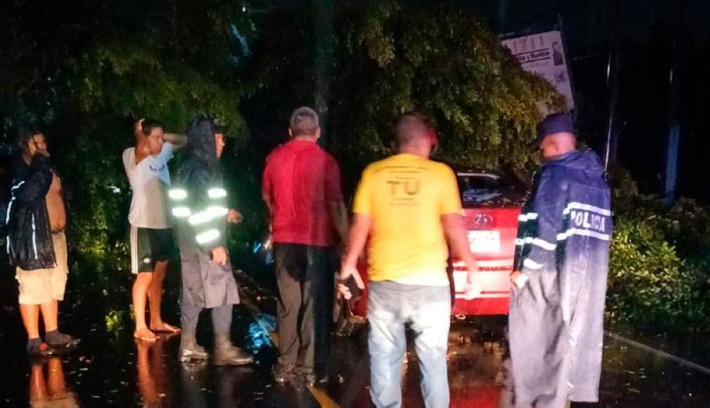 Árbol cae sobre vehículo en carretera antigua a Santa Ana