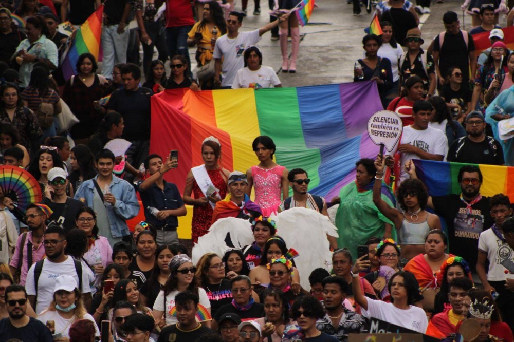 Comunidad LGTB+ pide mejoras en el sistema de salud y no retroceder en avances obtenidos