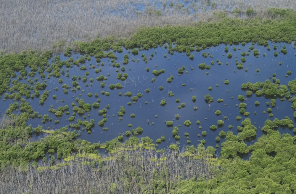 Trump visitará este martes el ‘Alcatraz de los caimanes’ de Florida
